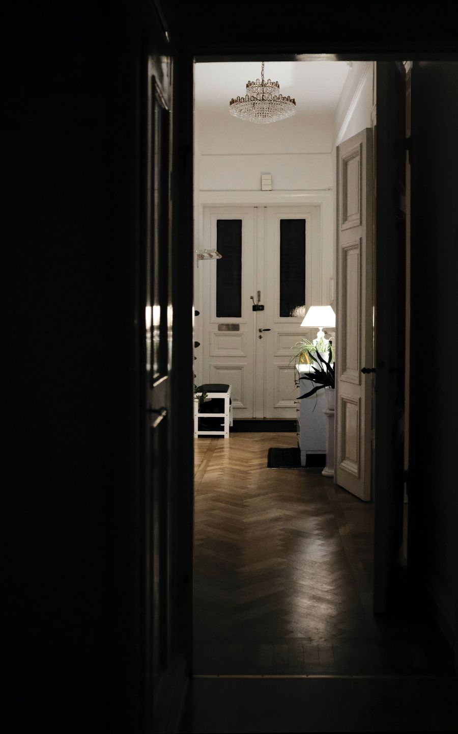 puerta2