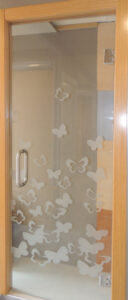Puerta Cristal templado 3
