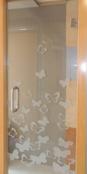Puerta Cristal templado 3